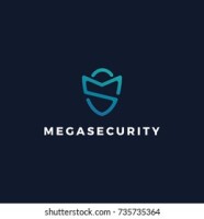 Ms security
