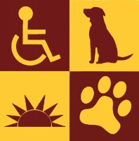 Pawsitive perspectives assistance dogs (pawpads)