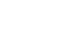 Pps investments