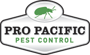 Pro pacific bee removal