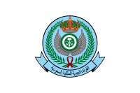 Rsaf - royal saudi air force