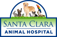 Santa clarita animal hospital