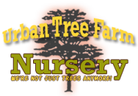 Urban tree farm nursery inc