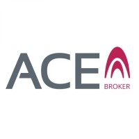 Ace insurance services