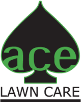 Ace landscaping lawn care