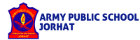 Army public school - india