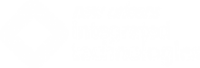 New Orleans Integrated Technologies