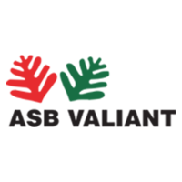 Asb valiant company limited