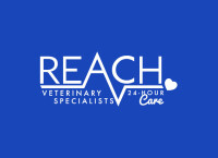 REACH & Asheville Veterinary Specialists
