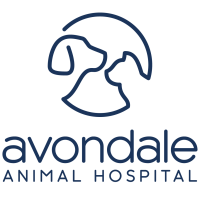 Avondale animal hospital