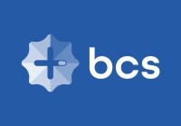 Bcs website services