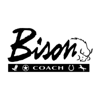Bison coach - a navistar company