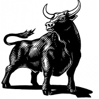 Black bull capital partners llc