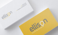 Ellison business consulting llc