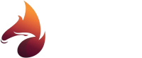 Feenix venture partners, llc