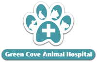 Green cove animal hospital