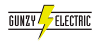 Gunzy electric