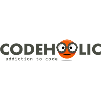 CodeHolics