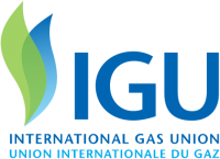 International gas union (igu)
