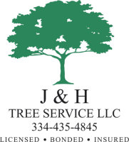 J&h tree service