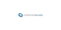Looking glass risk management