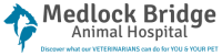 Medlock bridge animal hospital