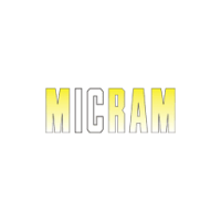 Micram microelectronic gmbh