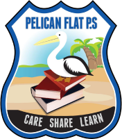 Pelican city schools