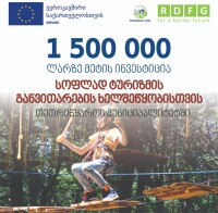 Association regional/rural development for future georgia (rdfg)