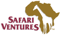 Safari adventures