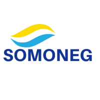 Somoneg - soc. transmontana de negocios, lda