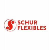 Schur flexibles group