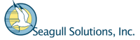Seagull solutions inc.