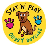 Stay n play day care