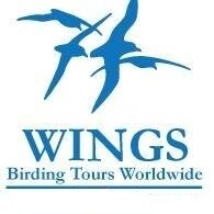 Wings birdwatching tours