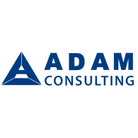 Adam bricks consulting