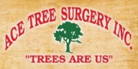 Ace tree surgery inc