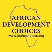 African development choices