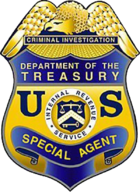 IRS Forensic Services & Investigations