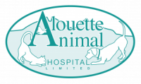 Alouette animal hospital
