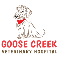 Animal medical clinic of goose creek