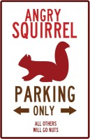 Angry squirrel studios