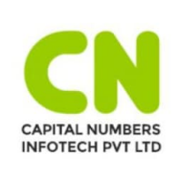Capital Numbers Pvt. Ltd.