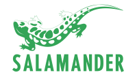 Salamander armoury