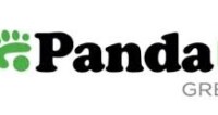 Panda Power & Gas
