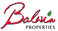 Baldwin properties inc