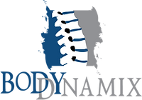 Body dynamix physical therapy