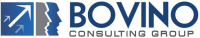 Bovino consulting group