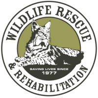 Wildlife Education and Rehabilitation Center