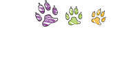 Busy bears daycare